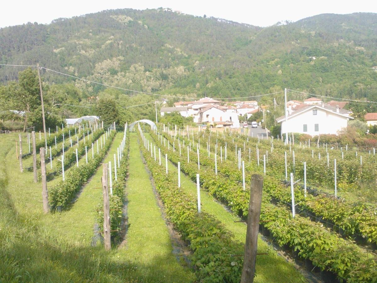 דירות Sesta Godano Agriturismo Tenuta Valletti. מראה חיצוני תמונה